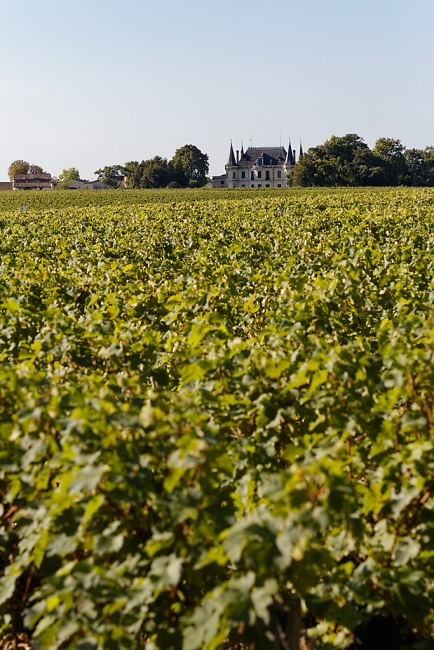 Balade avec Monique (Médoc et Blaye)-018